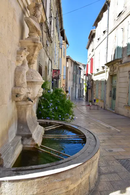 Provence – fotka 166