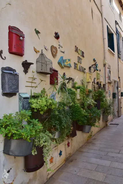 Provence – fotka 167