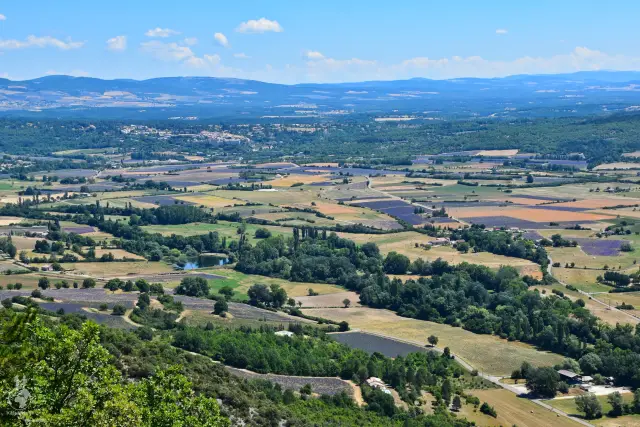 Provence – fotka 170