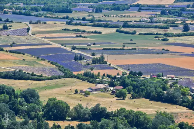 Provence – fotka 171
