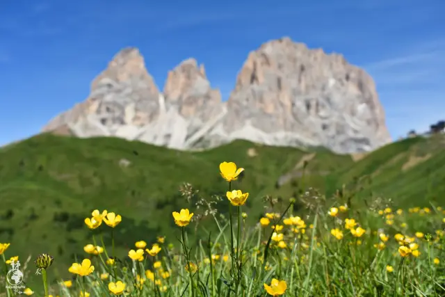 Dolomity – fotka 8