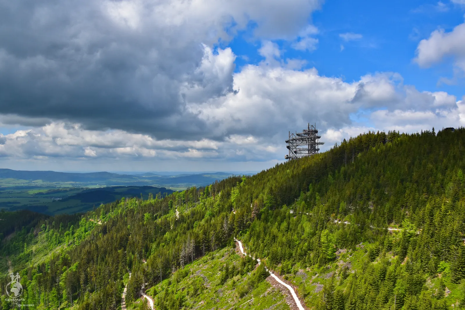 Výhled ze Sky Bridge 721 na stezku korunami stromů